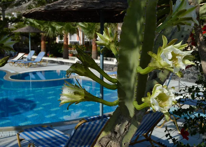 Castro 4* Kamari (Santorini)